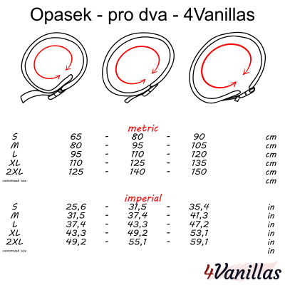Lockable Waist Belt - for couples - 4Vanillas