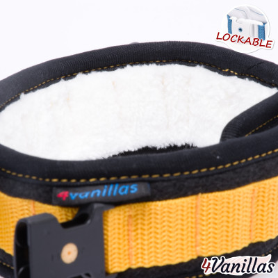 Lockable Adult Collar - Midnight Rainbow - 4Vanillas