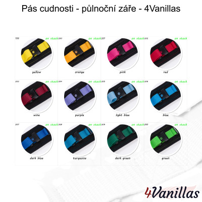 Lockable Chastity belt - Midnight Rainbow - 4Vanillas