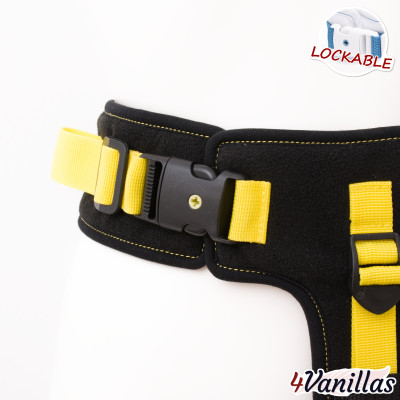 Lockable Chastity belt daily - Midnight Rainbow - 4Vanillas